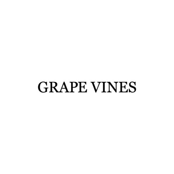 GRAPE VINES